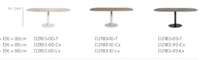 Garden Elipse dining table - T-TABLE